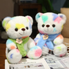 စိတ်ကြိုက်လက်ကား Plush Stuffed ရောင်စုံ Teddy Bear Toy Doll