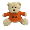 T-shirt en peluche avec Logo personnalis&eacute;, ours en peluche, jouet, poup&eacute;e, cadeau