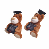 Graduation Brown Teddy Bear Mollis Fuzzy Plush Gift Books
