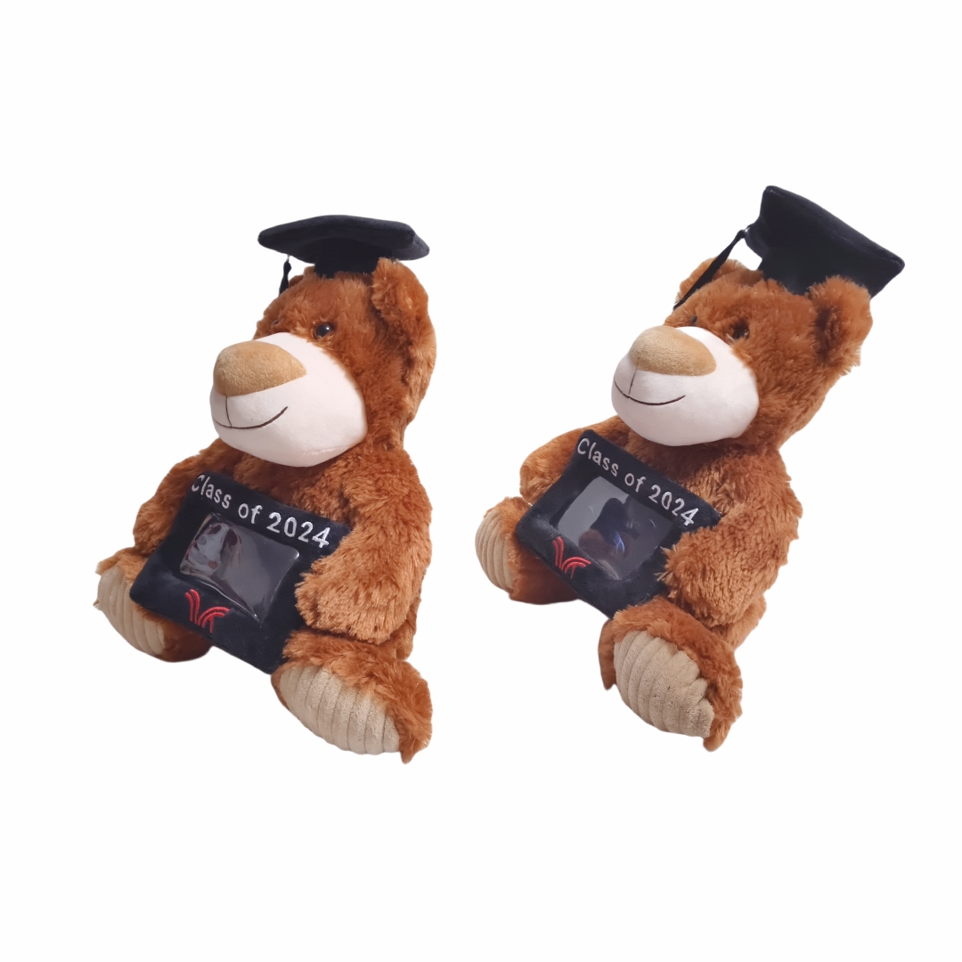 Graduation Brown Teddy Bear Mollis Fuzzy Plush Gift Books