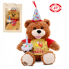 Aangepaste pluche gevulde teddybeer muziekspeelgoed voor verjaardag met Gifr-tas