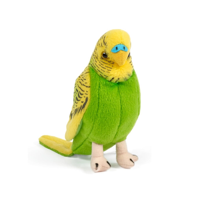 اسباب بازی های هدیه پرنده پرنده پرنده Budgie