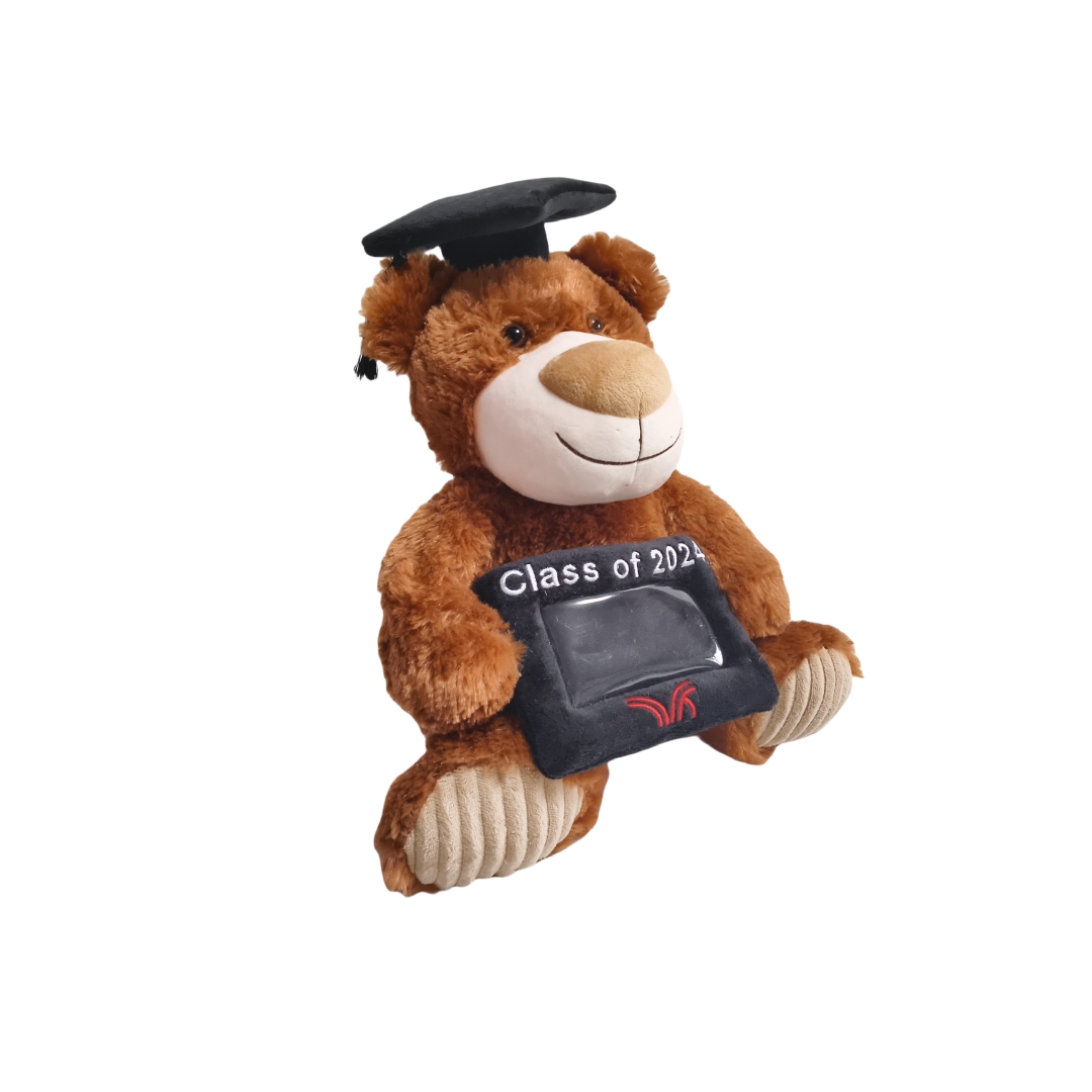 Graduation Brown Teddy Bear Mollis Fuzzy Plush Gift Books