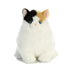 World Fat Cats Kitty Round Chabby Soft Fluffy OEM Plush Toy Animal