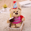Aangepaste pluche gevulde teddybeer muziekspeelgoed voor verjaardag met Gifr-tas