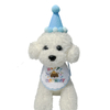 Cappello in peluche con decorazione personalizzata per compleanno di animali domestici, con bavaglini