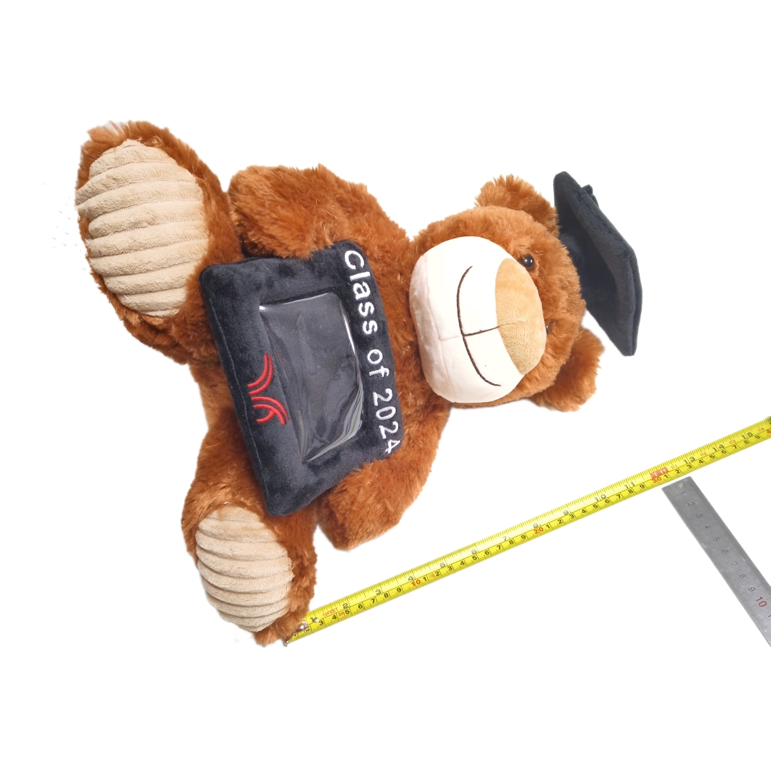 Graduation Brown Teddy Bear Mollis Fuzzy Plush Gift Books