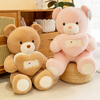 Վարդագույն պլյուշ լցոնված Fluffy Love Teddy Bear խաղալիք տիկնիկ ընկերուհու նվեր