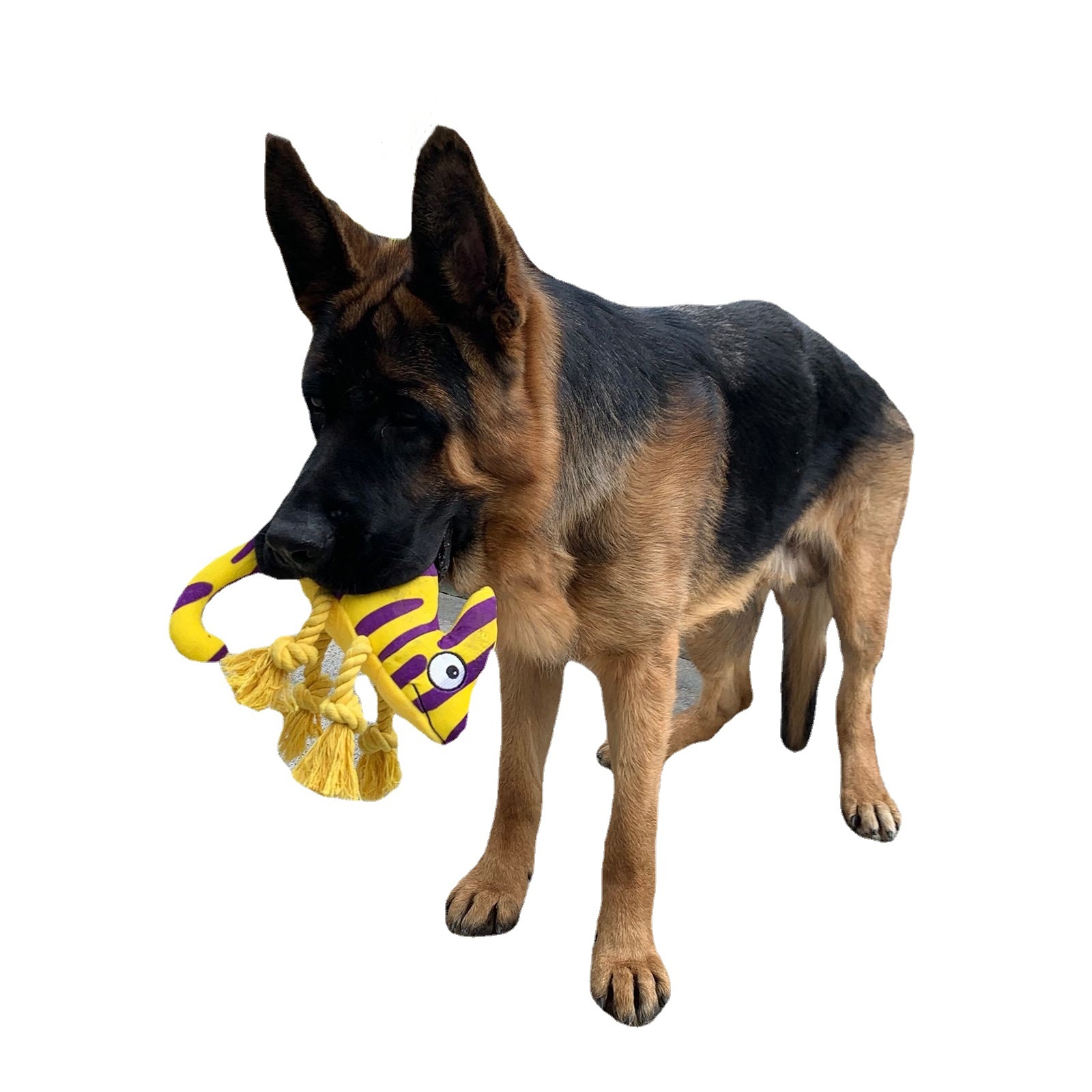 YD-BD027 Lizard Strip Kleurvolle Plush Groothandel Troeteldiergeskenk Hondespeelgoed met tou