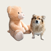 Big Plush Teddy Bear Fluffy Soft ritenga noho kararehe Wholesale wheketere Tamariki Gift Toys