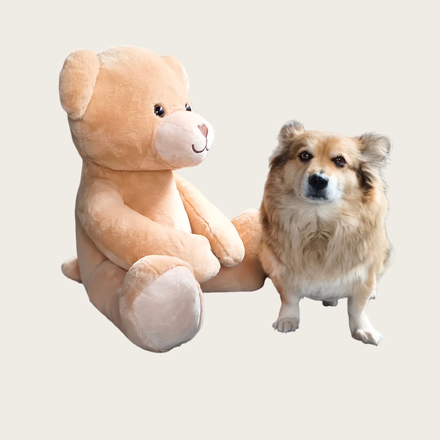 Big Plush Teddy Bear Fluffy Soft ritenga noho kararehe Wholesale wheketere Tamariki Gift Toys