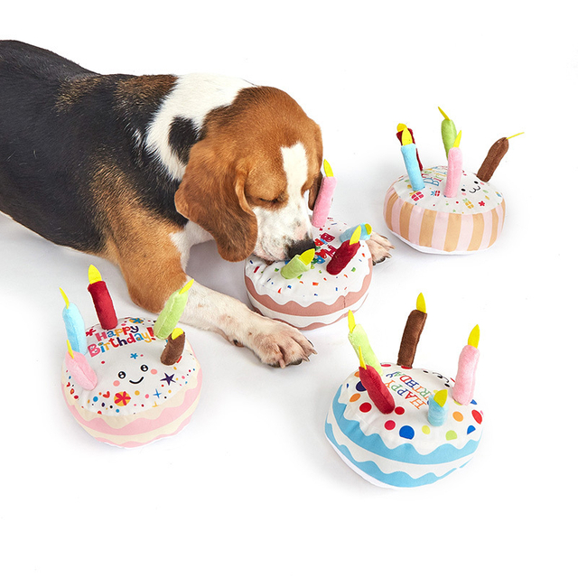 Yd-bd014 tort de aniversare moda populară personalizată pentru animale de companie cadou pentru câini squarky