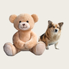 Big Plush Teddy Bear Fluffy Soft ritenga noho kararehe Wholesale wheketere Tamariki Gift Toys