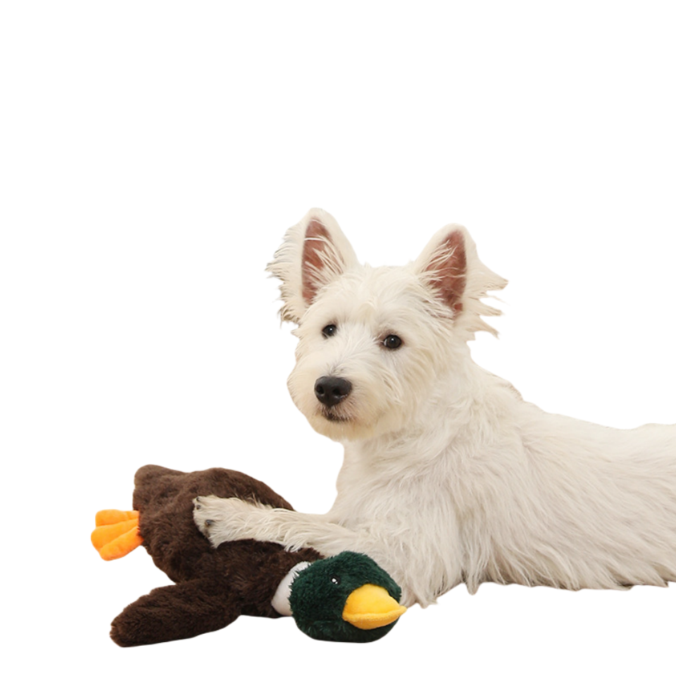 Custom Pet Plush Stuffed Wild Goose Duck Squeaky Dog Chew Toy
