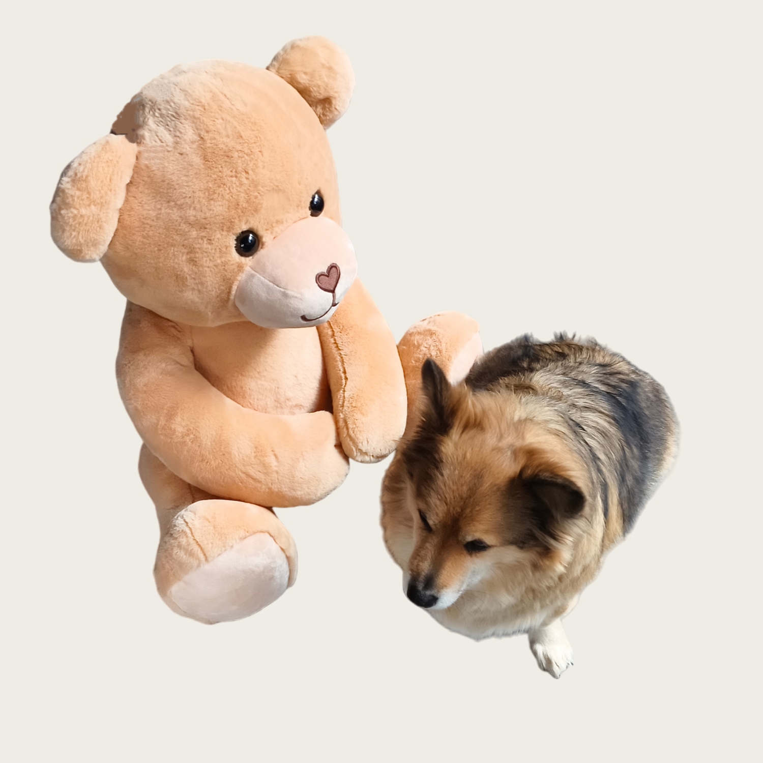 Big Plush Teddy Bear Fluffy Soft ritenga noho kararehe Wholesale wheketere Tamariki Gift Toys