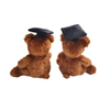 Graduation Brown Teddy Bear Mollis Fuzzy Plush Gift Books