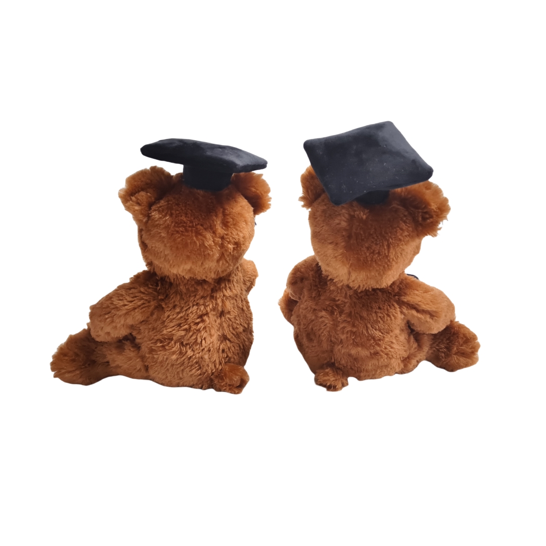 Graduation Brown Teddy Bear Mollis Fuzzy Plush Gift Books