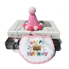 Cappello in peluche con decorazione personalizzata per compleanno di animali domestici, con bavaglini